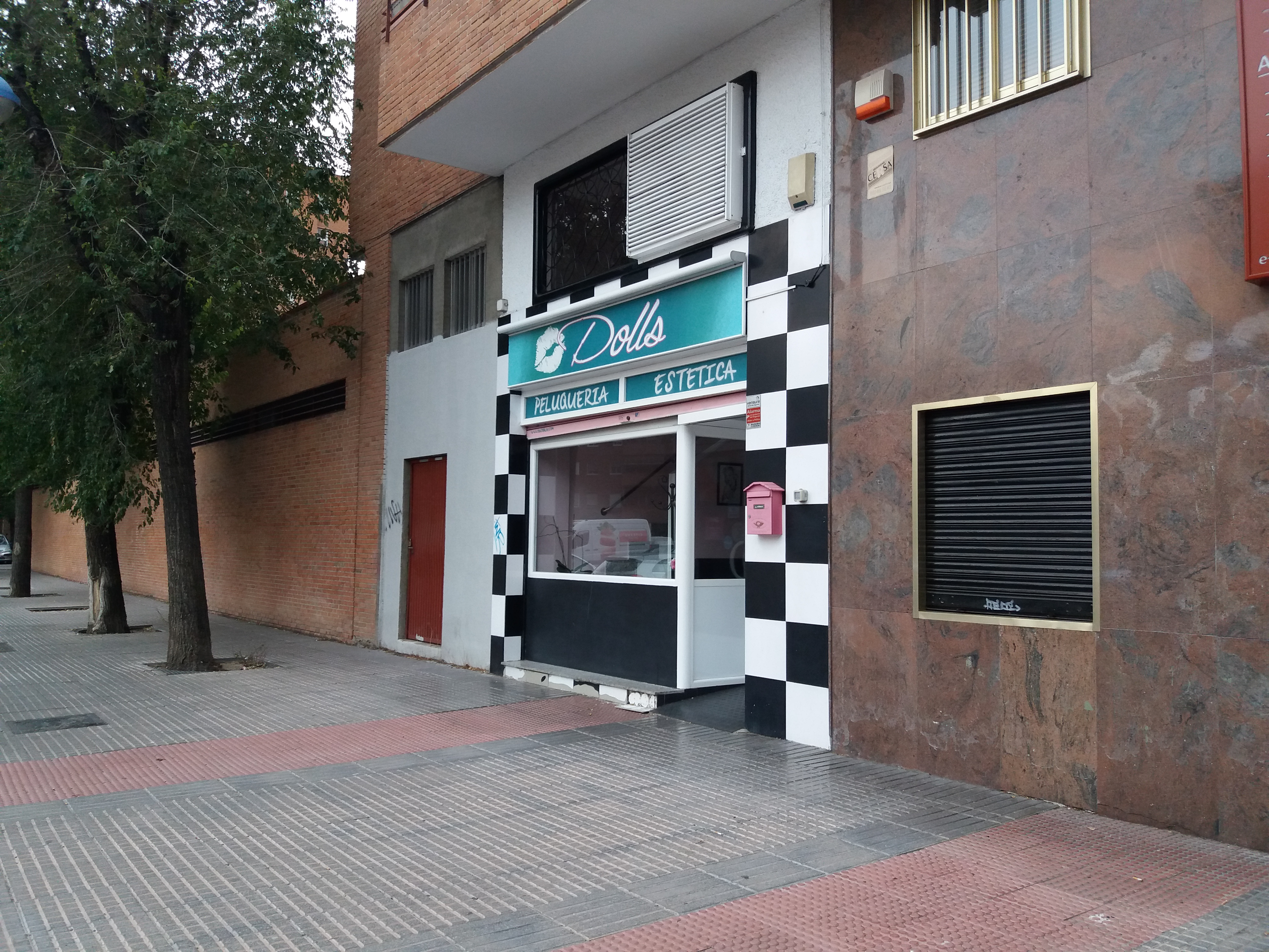 Galería de imágenes
